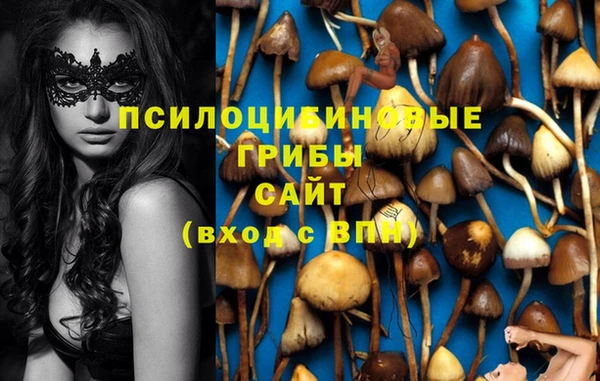 герыч Гусь-Хрустальный