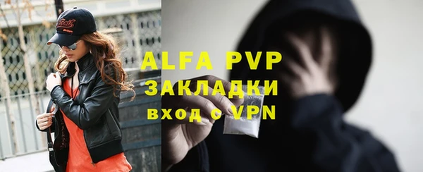 индика Магас