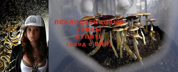 индика Магас