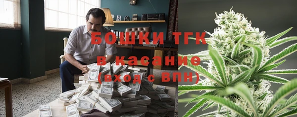 ешки Верхний Тагил